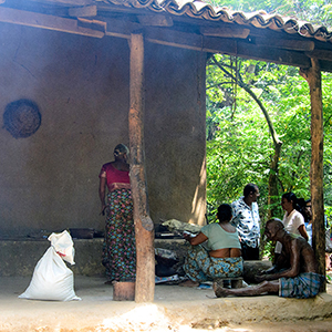Traditional Village (Ape Gama)