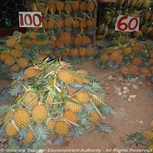 Pineapple in Belummahara