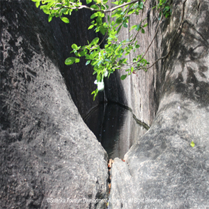 Nagapabbatha Monastery 