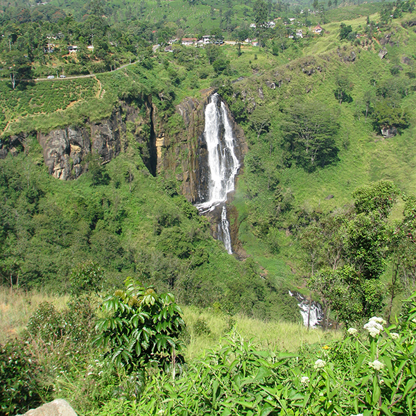 Travel Sri Lanka