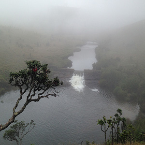 Horton Plains