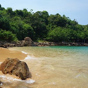 Jungle Beach 