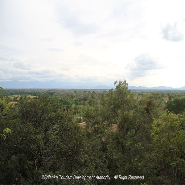 Kudagala Forest Reserve & Monastery