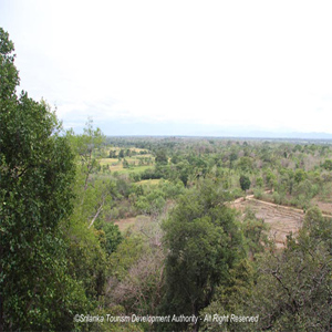 Kudagala Forest Reserve & Monastery