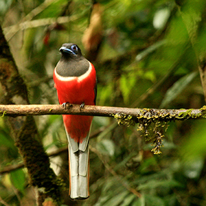 kumana national park