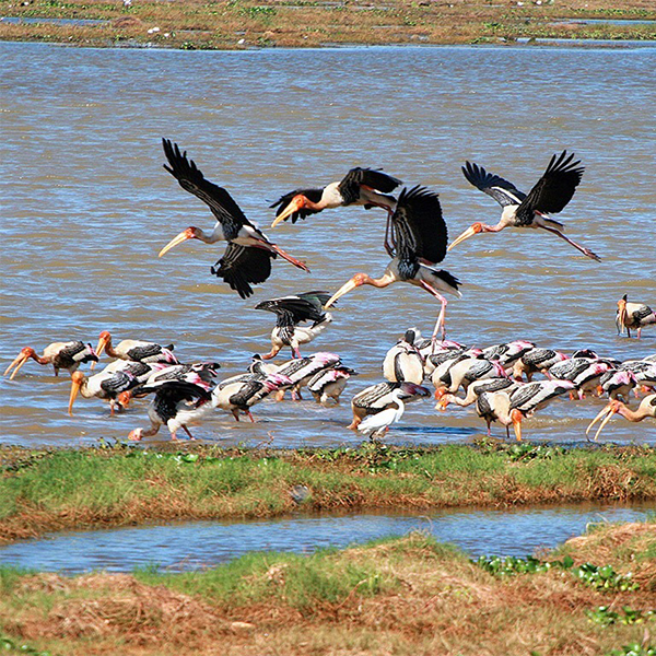 Travel Sri Lanka