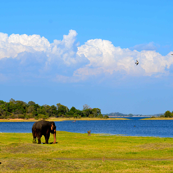 Travel Sri Lanka